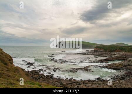 Küstenlandschaft, Curio Bay und Porpoise Bay ist bekannt für alte Bäume Fossilien in Felsen geformt, die Catlins Küste, Neuseeland Stockfoto