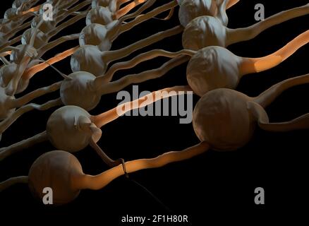 Künstliches neuronales Netz. Neuron Netzwerk mit Verbindung Links. 3D illustration Stockfoto