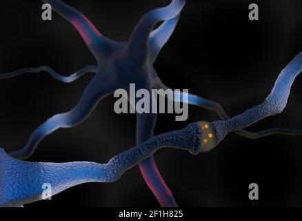 Synapse und Neuron Zellen senden elektrische Signale 3D-Illustration Stockfoto