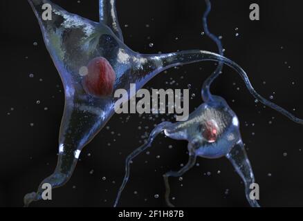 Illustration der menschlichen Nervenzelle Stockfoto