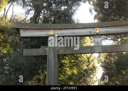 Meiji Jingu Erstes Torii-Tor Tokio, Japan. Stockfoto