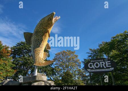 Monumentale braune Forellenstatue aus der Nähe, Symbol der Stadt, Gore, Südinsel Neuseeland Stockfoto