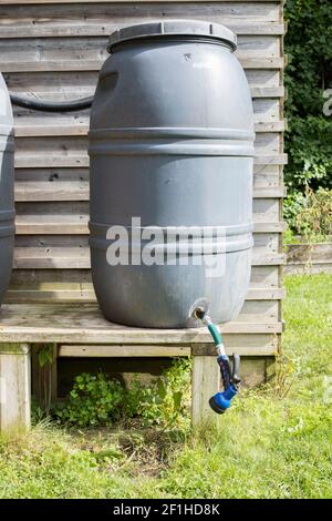 Wasserfass im Gemeinschaftsgarten. Gartengeräte zum Bewässern von Pflanzen auf einem Bauernhof. Stockfoto