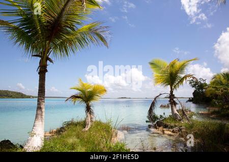 laguna-bacalar-see-von-sieben-farben-laguna-de-los-siete-colores