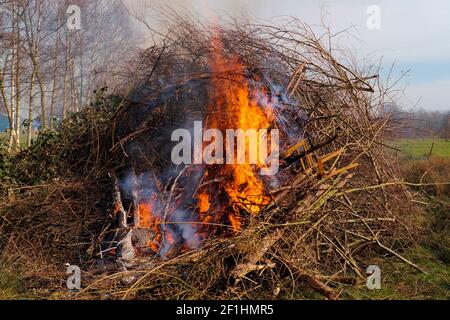 Brennende Stoppeln auf dem Feld mit Feuerflamme Stockfoto