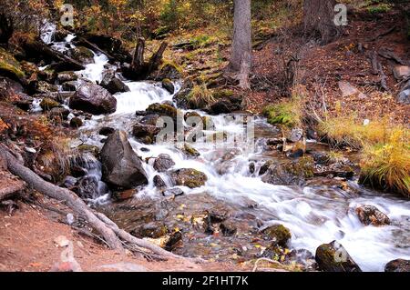 Ein stürmischer Gebirgsbach fließt in einen kaskadierenden Bach hinunter, der sich um Steine und Baumstämme herum beugt. Boki Fluss, Altai, Sibirien, Russland. Stockfoto