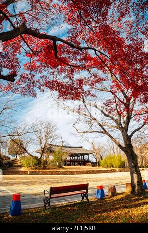 Jukseoru Pavillon im Herbst in Samcheok, Korea Stockfoto