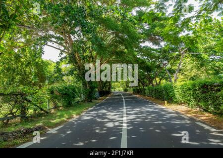 Straße zum Hotel Sofitel in Flic en Flac auf der tropischen Insel Mauritius. Stockfoto