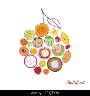 Skizze farbige exotische Produkte rund Konzept mit frischen tropischen Früchten Und Beeren isoliert Vektor-Illustration Stock Vektor