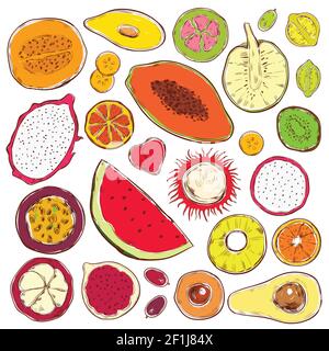 Handgezeichnete farbige exotische Produkte Set mit natürlichen Bio-Früchten Und Beeren isoliert Vektor-Illustration Stock Vektor