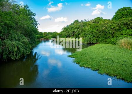 Fluss in der Nähe des öffentlichen Strandes von Albion im Westen der tropischen Insel Mauritius. Stockfoto