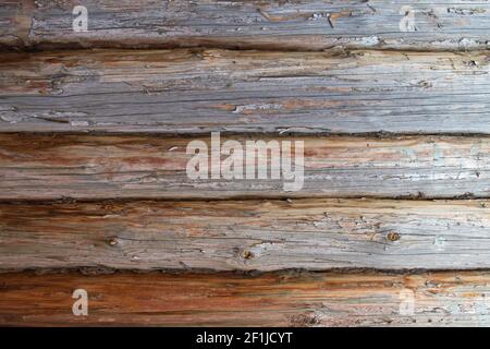 Ein Fragment einer Blockwand, horizontal platziert alte Stämme mit Spuren von Zweigen und Risse mit getrocknetem grauem Moos als Dichtung zwischen den Spalten verwendet. Woo Stockfoto