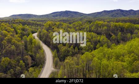 Der Blue Ridge Parkway Führt Durch Dichten Bergwald Stockfoto