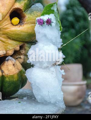 Erster Schnee, geschnitzte dekorative Kürbisse im Garten, ein kleiner Schneemann neben Kürbisdekoren, erster Schnee auf Kürbisdekoren, halloween, Herbstzeit Stockfoto