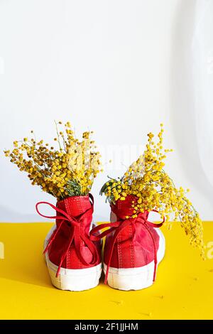 Kreative, frühlingshafte Komposition. Bouquet Mimosa Blumen in roten Turnschuhen, verwenden Sie anstelle einer Vase. Trendige Stillleben Szene auf einem gelb-weißen Hintergrund mit Stockfoto