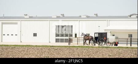 Farmer Schleppt Waren Die Alte Fashoined Weise In Arthur Illinois Stockfoto