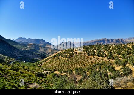 Sargalu Gebiet in Kurdistan Region Stockfoto