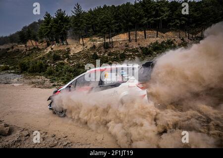 05 MEEKE Kris (GBR), MARSHALL Sebastien (GBR), TOYOTA YARIS, TOYOTA GAZOO RACING WRT, Aktion während der WRC World Rally Car Championship 2019, Rallye der Türkei vom 12. Bis 15. September, in Marmaris - Foto Francois Flamand / DPPI Stockfoto