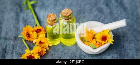 Der Ringelblume Extrakt. Selektive Fokusmedizin Stockfoto