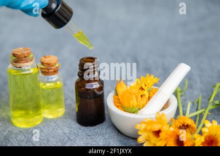 Der Ringelblume Extrakt. Selektive Fokusmedizin Stockfoto