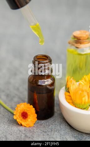 Der Ringelblume Extrakt. Selektive Fokusmedizin Stockfoto