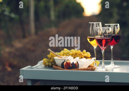 Gläser von leckeren Wein mit Snacks auf dem Tisch im Weinberg Stockfoto