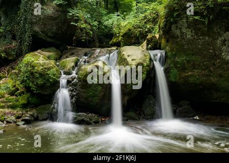 Idyllischer Wasserfall im saftig grünen Sommerwald in Luxemburg Stockfoto