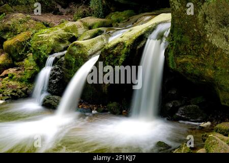 Idyllischer Wasserfall im saftig grünen Sommerwald in Luxemburg Stockfoto