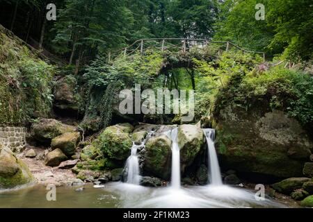 Idyllischer kleiner Wasserfall in üppig grüner Waldlandschaft Stockfoto