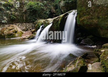 Idyllischer kleiner Wasserfall in üppig grüner Waldlandschaft Stockfoto