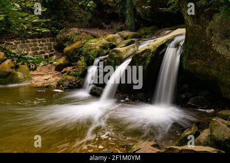 Idyllischer kleiner Wasserfall in üppig grüner Waldlandschaft Stockfoto