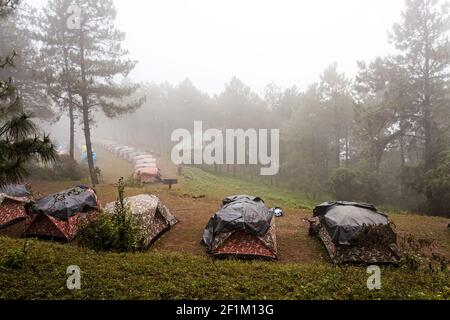 Kuppelzelt Camping im Nebelmeer im Doi Pha Hom Pok National Park, Thailand. Stockfoto