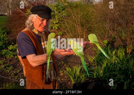 Man füttert Sittiche in St James Park - Westminster, London, Großbritannien Stockfoto