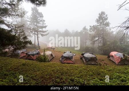 Kuppelzelt Camping im Nebelmeer im Doi Pha Hom Pok National Park, Thailand. Stockfoto