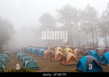 Kuppelzelt Camping im Nebelmeer im Doi Pha Hom Pok National Park, Thailand. Stockfoto