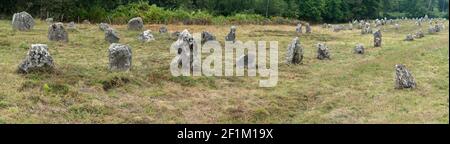 Panoramablick auf prähistorische Monolith-Steinlagen in der Bretagne In Carnac Stockfoto