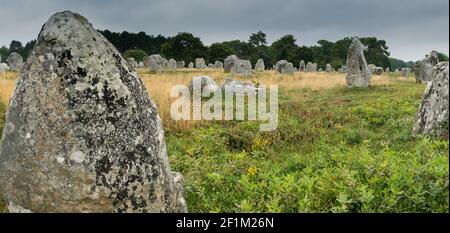 Panoramablick auf prähistorische Monolith-Steinlagen in der Bretagne In Carnac Stockfoto