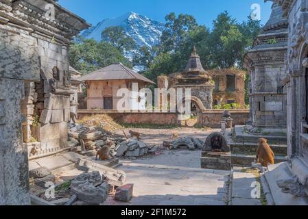 Pashupatinath ist ein Hindu-Tempelkomplex in Kathmandu. Nepal Stockfoto