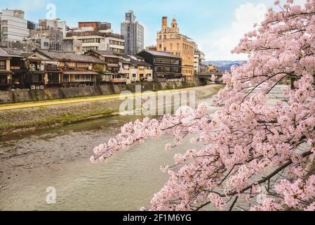 Landschaft am Ufer des Kamo Flusses in Kyoto, kinki, japan Stockfoto