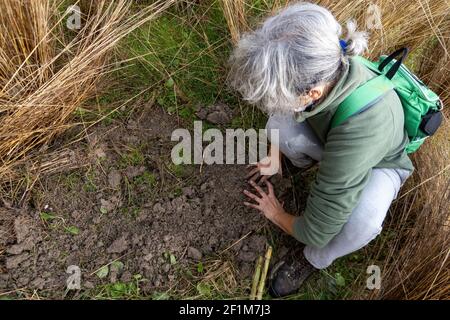 Stock Foto von nicht erkannte Frau trägt Gesichtsmaske mit Schaufel in der Landschaft helfen, aufzuforsten. Stockfoto