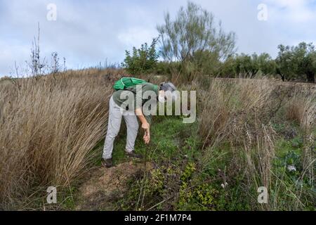 Stock Foto von erwachsenen Frau trägt Gesichtsmaske mit Schaufel in der Landschaft helfen, aufzuforsten. Stockfoto