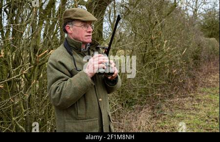 Lincolnshire, England, Großbritannien. Ein Deerstalker endlich Licht suchen und beobachten Hirsche für Keulung und Management als Teil eines Naturschutzprogramms Stockfoto