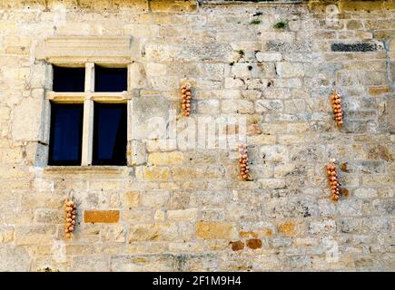 Blick auf eine alte Steinhausfassade im bretonischen Dorf Roscoff mit der typischen Zwiebel Johnny r Stockfoto