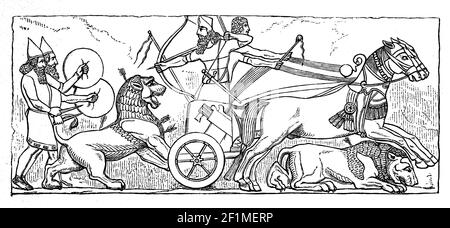 Assyrische Krieger, Löwenjagd mit Kampfwagen, Assyrien, Assyrisches Reich, um 800 v. Chr., Illustration von 1890 / Assyrische Krieger, Löwenjagd mit dem Kampfwagen, Assyrrien, Assyrisches Reich, um 800 v. Chr., Illustration aus 1890, Historisch, historisch, digital verbesserte Reproduktion eines Originals aus dem 19th. Jahrhundert / digitale Produktion einer Originalvorlage aus dem 19. Jahrhundert, Stockfoto