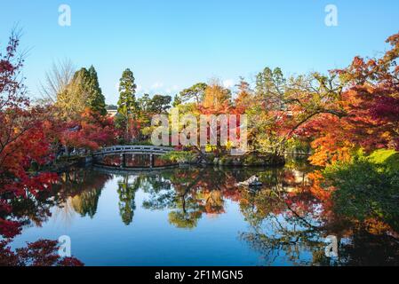 Herbstlaub im Eikando Tempel in Kyoto, Japan Stockfoto