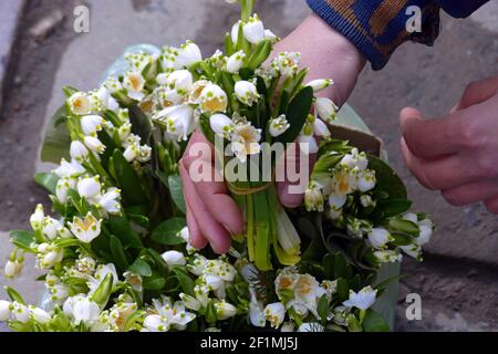 Nicht exklusiv: IVANO-FRANKIWSK, UKRAINE - 7. MÄRZ 2021 - in Ivano-Frankiwsk, Westukraine, werden Schneeflocken im Frühling gesehen. Stockfoto