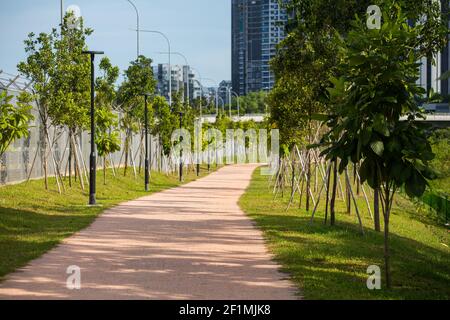 Pflanzen werden auf beiden Seiten gepflanzt, um eine naturalistische Umgebung für die Parknutzer zu schaffen, die in einem urbanisierten Gebiet leben. Singapur. Stockfoto