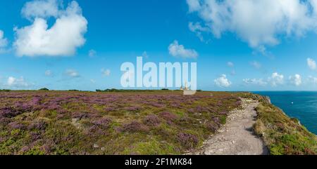 Wanderweg durch fliederne Heidewiesen an der bretonischen Küste Mit Cap Frehel Leuchtturm Stockfoto