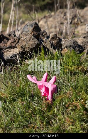 Rosa Gummihandschuh von einer Steinmauer in der Landschaft in der Nähe von San Jose de Los Llanos, Teneriffa, Kanarische Inseln, Spanien weggeworfen Stockfoto