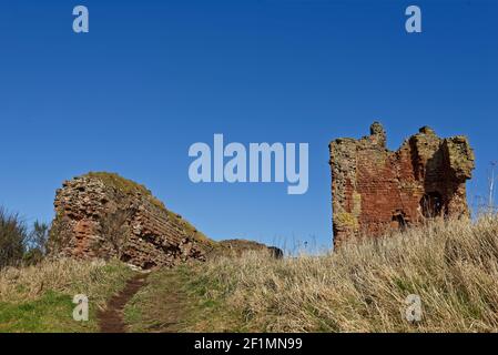 Der Vorhang Wand und halten von Red Castle in Lunan Bay, alles, was bleibt von diesem kleinen schottischen Schloss mit Verbindungen zu Robert the Bruce. Stockfoto